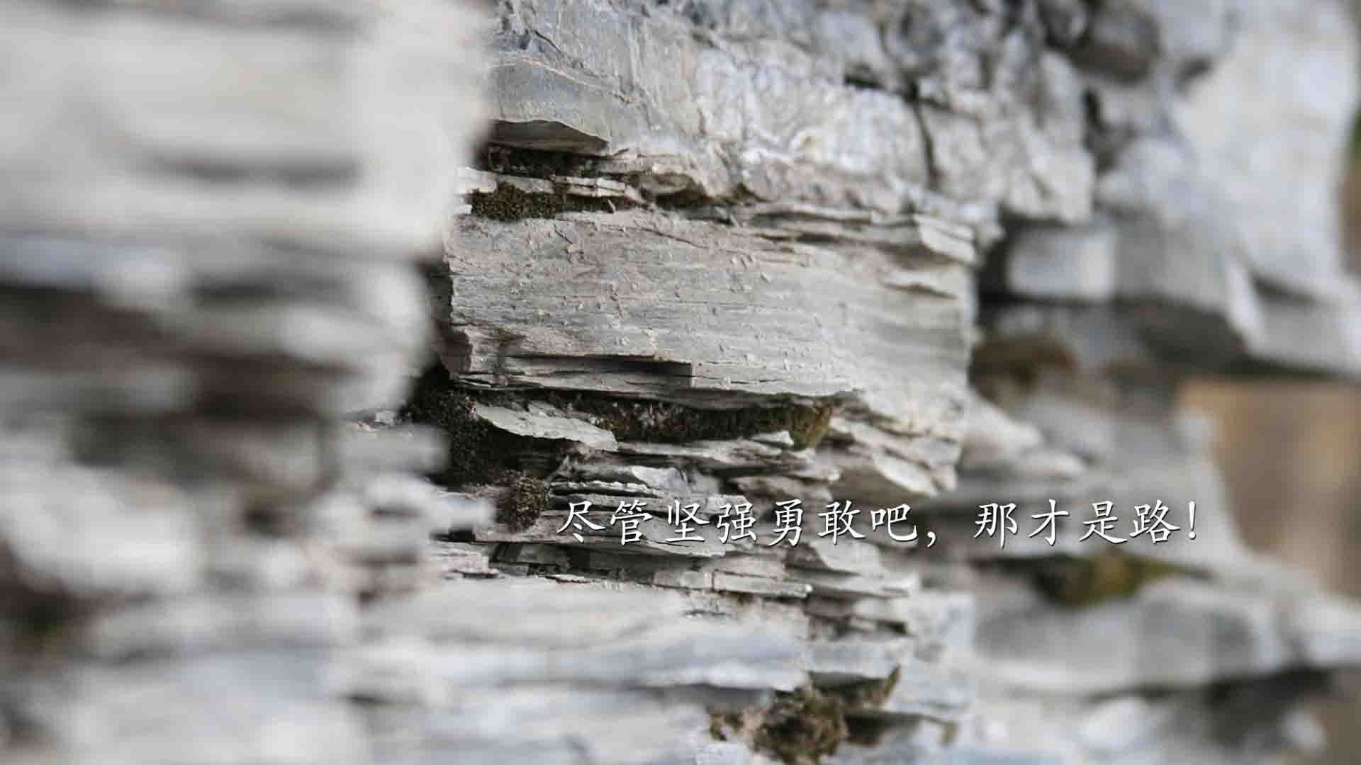 世界举重青训营康复训练师继续教育课程结业公示，世界举重协会官网